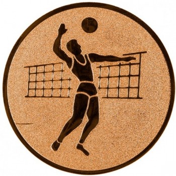 Emblém volejbal muž bronz 50 mm