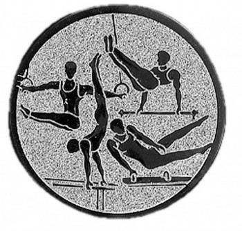 Emblém gymnastika víceboj muž stříbro 50 mm
