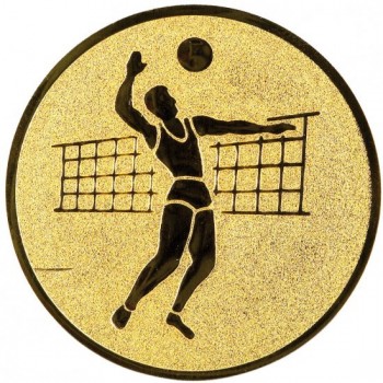 Emblém volejbal muž zlato 50 mm